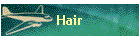 Hair