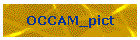OCCAM_pict